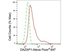 Invitrogen DAZAP1 Recombinant Rabbit Monoclonal Antibody (23GB3540), Invitrogen