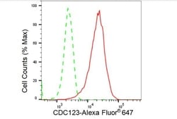 Invitrogen CDC123 Recombinant Rabbit Monoclonal Antibody (23GB3755), Invitrogen