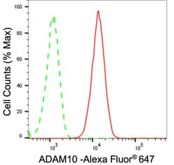 Invitrogen ADAM10 Recombinant Rabbit Monoclonal Antibody (23GB3920), Invitrogen
