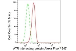 Invitrogen ATRIP Recombinant Rabbit Monoclonal Antibody (23GB3950), Invitrogen