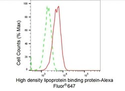 Invitrogen HDLBP Recombinant Rabbit Monoclonal Antibody (23GB3970), Invitrogen 100 &mu;L | Buy Online | Invitrogen&trade; | Fisher Scientific