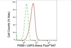 Invitrogen PSMB9 Recombinant Rabbit Monoclonal Antibody (23GB4110), Invitrogen