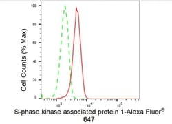 Invitrogen SKP1 Recombinant Rabbit Monoclonal Antibody (23GB4140), Invitrogen