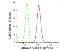 Invitrogen MRP2 Recombinant Rabbit Monoclonal Antibody (23GB4275), Invitrogen