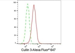 Invitrogen Cullin 3 Recombinant Rabbit Monoclonal Antibody (23GB1560),