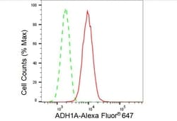 Invitrogen Alcohol Dehydrogenase 1A Recombinant Rabbit Monoclonal Antibody