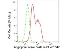 Invitrogen ANGPTL3 Recombinant Rabbit Monoclonal Antibody (23GB4320), Invitrogen