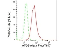 Invitrogen ATG3 Recombinant Rabbit Monoclonal Antibody (23GB4330), Invitrogen