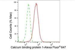 Invitrogen CABP1 Recombinant Rabbit Monoclonal Antibody (23GB4365), Invitrogen