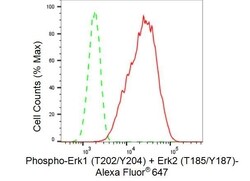 Invitrogen Phospho-ERK1/ERK2 (Thr202, Tyr204, Thr185, Tyr187) Recombinant