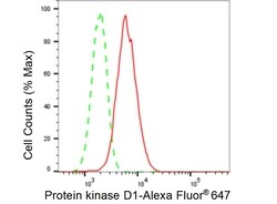 Invitrogen PKC mu Recombinant Rabbit Monoclonal Antibody (23GB4590), Invitrogen