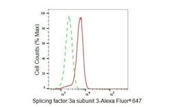Invitrogen SF3A3 Recombinant Rabbit Monoclonal Antibody (23GB4775), Invitrogen