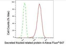 Invitrogen SFRP4 Recombinant Rabbit Monoclonal Antibody (23GB4950), Invitrogen