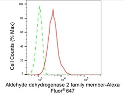 Invitrogen ALDH2 Recombinant Rabbit Monoclonal Antibody (23GB4810), Invitrogen