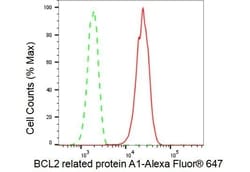 Invitrogen BCL2A1 Recombinant Rabbit Monoclonal Antibody (23GB4820), Invitrogen