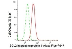 Invitrogen BNIP1 Recombinant Rabbit Monoclonal Antibody (23GB4870):Antibodies:Primary