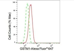 Invitrogen GSTM1 Recombinant Rabbit Monoclonal Antibody (23GB4940), Invitrogen