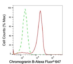 Invitrogen Chromogranin B Recombinant Rabbit Monoclonal Antibody (23GB5075),