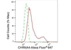 Invitrogen CHRNA4 Recombinant Rabbit Monoclonal Antibody (23GB5085), Invitrogen