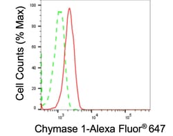 Invitrogen Mast Cell Chymase Recombinant Rabbit Monoclonal Antibody (23GB5095),