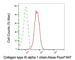 Invitrogen COL11A1 Recombinant Rabbit Monoclonal Antibody (23GB5100), Invitrogen
