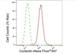 Invitrogen Cortactin Recombinant Rabbit Monoclonal Antibody (23GB5130),