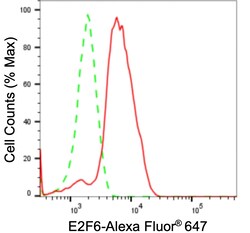 Invitrogen E2F6 Recombinant Rabbit Monoclonal Antibody (23GB5255), Invitrogen