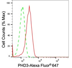 Invitrogen PHD3 Recombinant Rabbit Monoclonal Antibody (23GB5275) 20 &mu;L | Buy Online | Invitrogen&trade; | Fisher Scientific