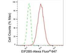 Invitrogen eIF2b epsilon Recombinant Rabbit Monoclonal Antibody (23GB5300),