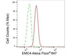 Invitrogen EMC4 Recombinant Rabbit Monoclonal Antibody (23GB5315), Invitrogen