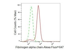 Invitrogen Fibrinogen alpha chain Recombinant Rabbit Monoclonal Antibody (23GB5400) 20 &mu;L | Buy Online | Invitrogen&trade; | Fisher Scientific