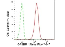 Invitrogen GABBR1 Recombinant Rabbit Monoclonal Antibody (23GB5495), Invitrogen