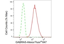 Invitrogen GABRA5 Recombinant Rabbit Monoclonal Antibody (23GB5505) 100 &mu;L | Buy Online | Invitrogen&trade; | Fisher Scientific