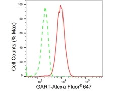 Invitrogen GART Recombinant Rabbit Monoclonal Antibody (23GB5520), Invitrogen