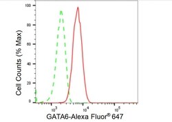Invitrogen GATA6 Recombinant Rabbit Monoclonal Antibody (23GB5525) 100 &mu;L | Buy Online | Invitrogen&trade; | Fisher Scientific
