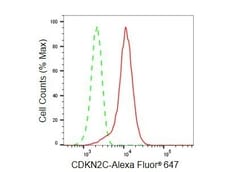 Invitrogen CDKN2C Recombinant Rabbit Monoclonal Antibody (23GB5650), Invitrogen