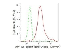 Invitrogen ALY Recombinant Rabbit Monoclonal Antibody (23GB5660), Invitrogen