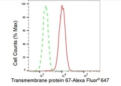 Invitrogen TMEM67 Recombinant Rabbit Monoclonal Antibody (23GB4990), Invitrogen