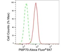 Invitrogen PMP70 Recombinant Rabbit Monoclonal Antibody (23GB5010), Invitrogen