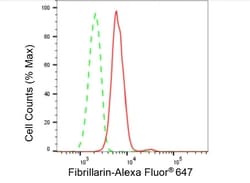 Invitrogen Fibrillarin Recombinant Rabbit Monoclonal Antibody (23GB5735),