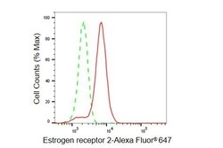 Invitrogen Estrogen Receptor beta Recombinant Rabbit Monoclonal Antibody