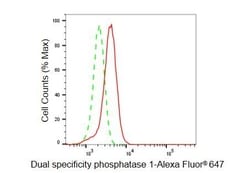 Invitrogen MKP-1 Recombinant Rabbit Monoclonal Antibody (23GB5760), Invitrogen