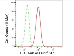 Invitrogen Golgi protein 58k Recombinant Rabbit Monoclonal Antibody (23GB5765),