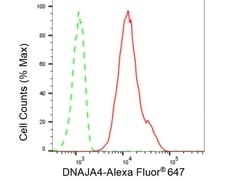 Invitrogen DNAJA4 Recombinant Rabbit Monoclonal Antibody (23GB5825), Invitrogen