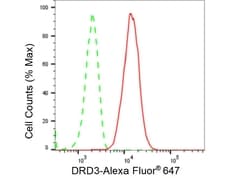 Invitrogen DRD3 Recombinant Rabbit Monoclonal Antibody (23GB5840), Invitrogen