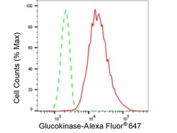 Invitrogen GCK Recombinant Rabbit Monoclonal Antibody (23GB5845), Invitrogen