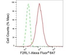 Invitrogen PAR2 Recombinant Rabbit Monoclonal Antibody (23GB5850), Invitrogen 100 &mu;L | Buy Online | Invitrogen&trade; | Fisher Scientific