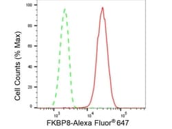 Invitrogen FKBP8 Recombinant Rabbit Monoclonal Antibody (23GB5890), Invitrogen