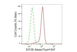 Invitrogen eIF3e Recombinant Rabbit Monoclonal Antibody (23GB5915), Invitrogen