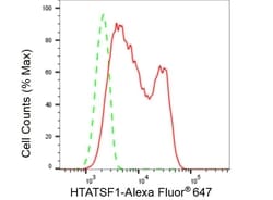 Invitrogen HTATSF1 Recombinant Rabbit Monoclonal Antibody (23GB5935) 20 &mu;L | Buy Online | Invitrogen&trade; | Fisher Scientific